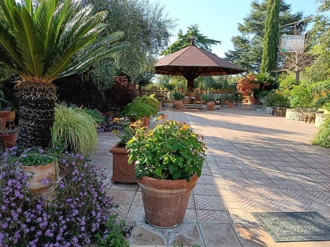 Guest House Romana Vecchia Monticchio  Eksteriør bilde