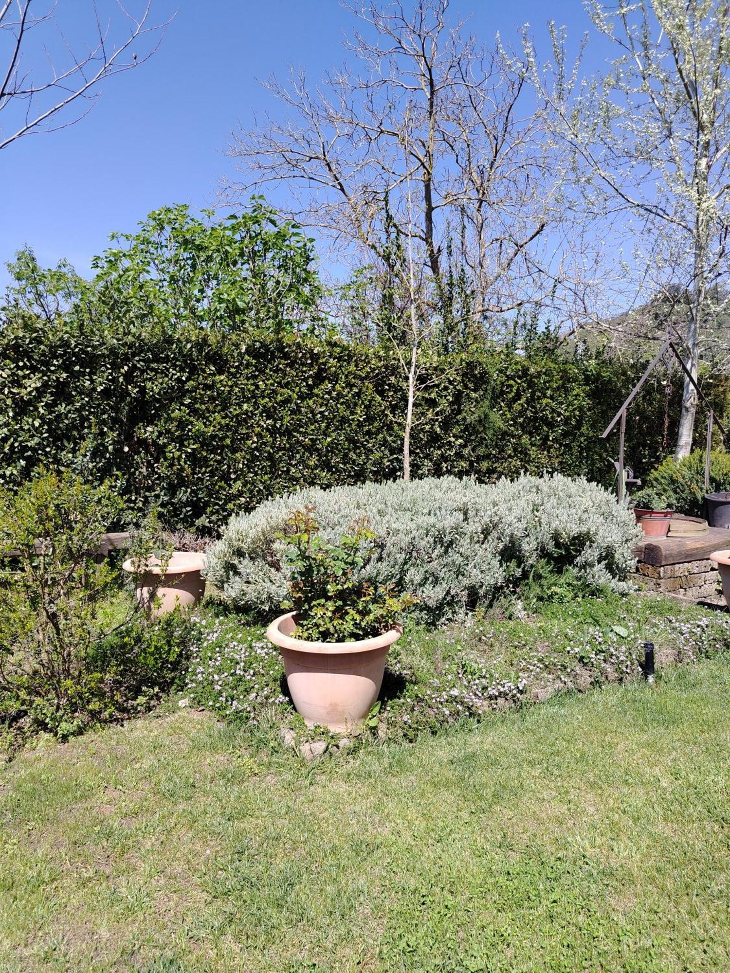 Guest House Romana Vecchia Monticchio  Eksteriør bilde